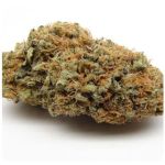 Шишки AK47  (Гидропоника, Бошка) VHQ в Лысьве